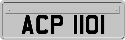 ACP1101