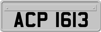 ACP1613