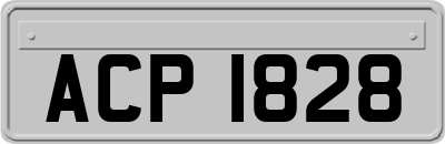 ACP1828