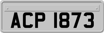 ACP1873