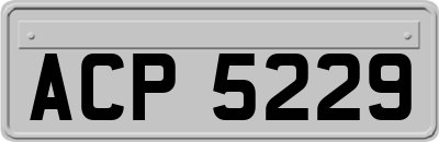 ACP5229