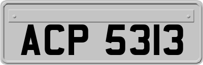 ACP5313