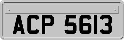 ACP5613