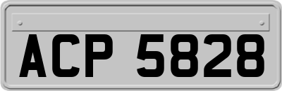 ACP5828