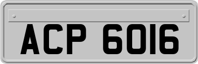 ACP6016