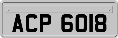 ACP6018