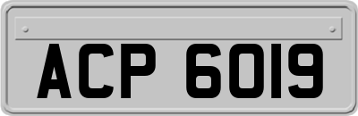 ACP6019