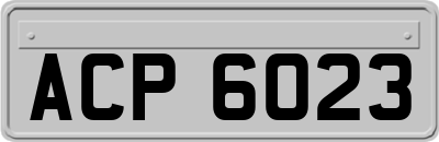 ACP6023