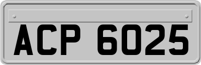 ACP6025