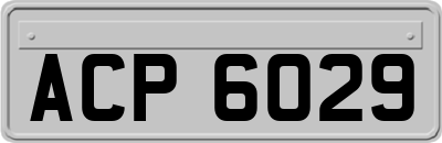 ACP6029