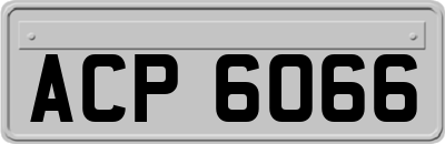 ACP6066