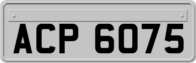 ACP6075
