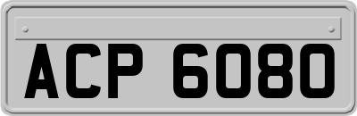 ACP6080
