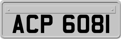 ACP6081