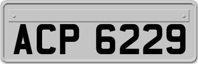 ACP6229