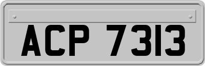 ACP7313