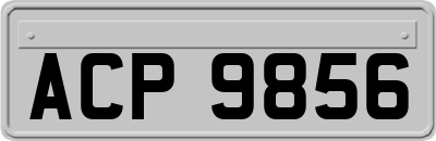 ACP9856