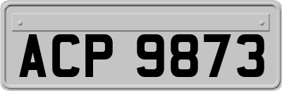 ACP9873