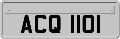 ACQ1101