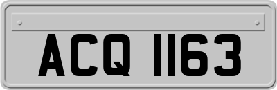 ACQ1163