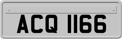 ACQ1166