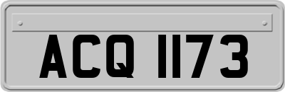 ACQ1173