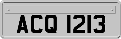ACQ1213