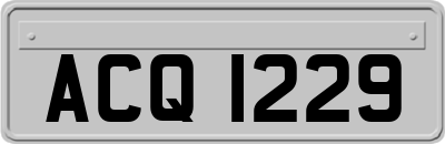 ACQ1229