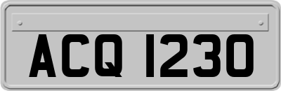 ACQ1230