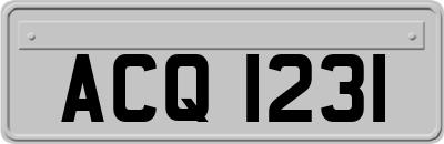 ACQ1231