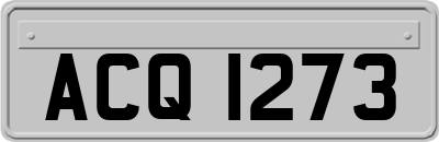 ACQ1273
