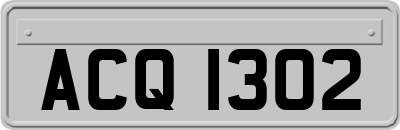 ACQ1302