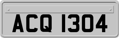 ACQ1304