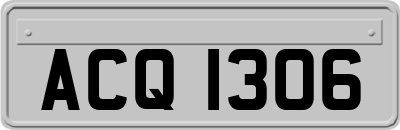ACQ1306