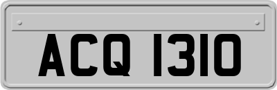 ACQ1310