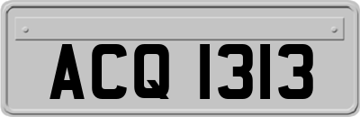 ACQ1313