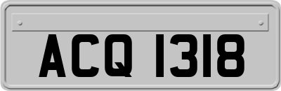 ACQ1318