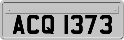 ACQ1373