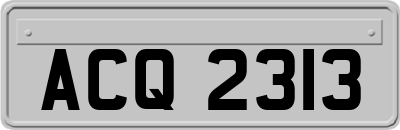 ACQ2313