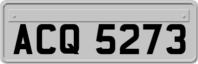 ACQ5273
