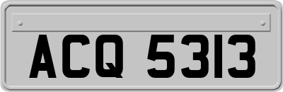 ACQ5313
