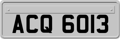 ACQ6013