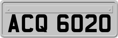 ACQ6020