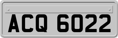 ACQ6022