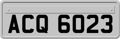 ACQ6023