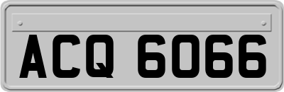 ACQ6066