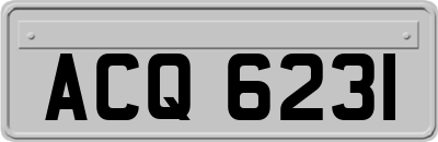 ACQ6231