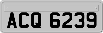 ACQ6239