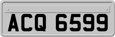 ACQ6599