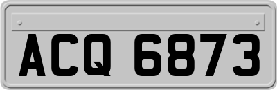 ACQ6873